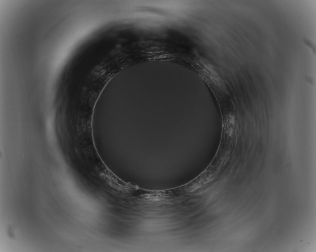 X0000097590763200802291219