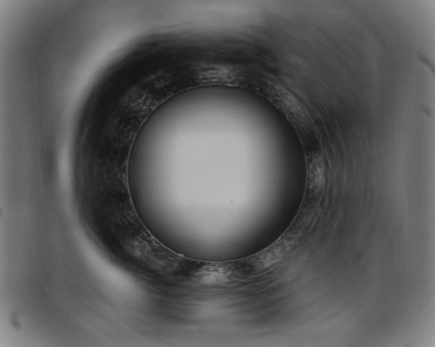 X0000097590764200802291219