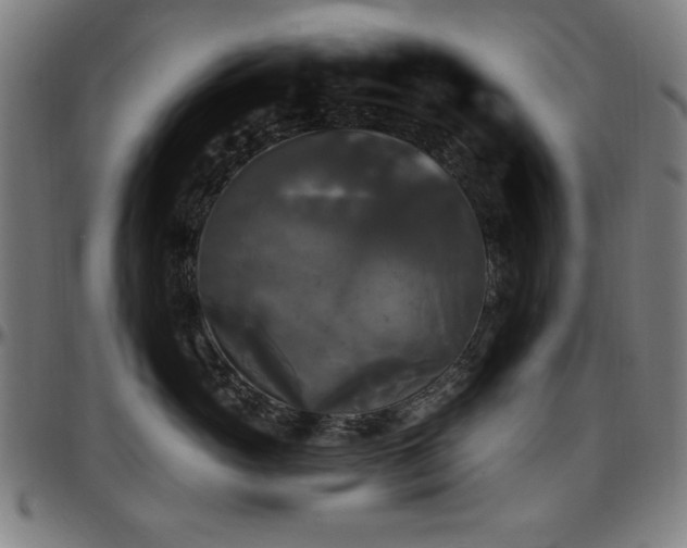 X0000097590765200802291219