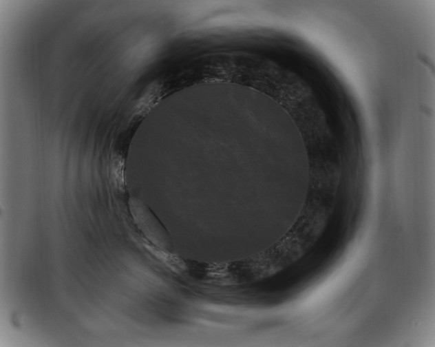 X0000097590766200802291219