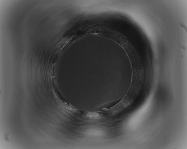 X0000097590767200802291219