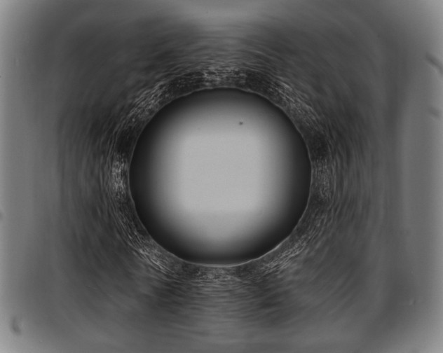 X0000097590770200802291218