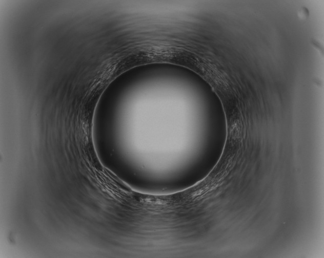 X0000097590772200802291218