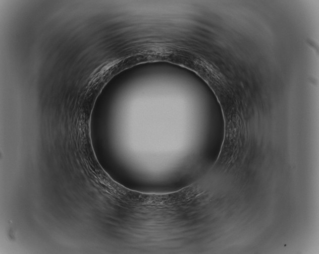 X0000097590773200802291218
