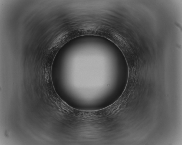 X0000097590774200802291218