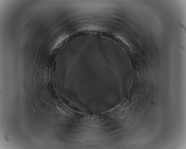 X0000097590775200802291218
