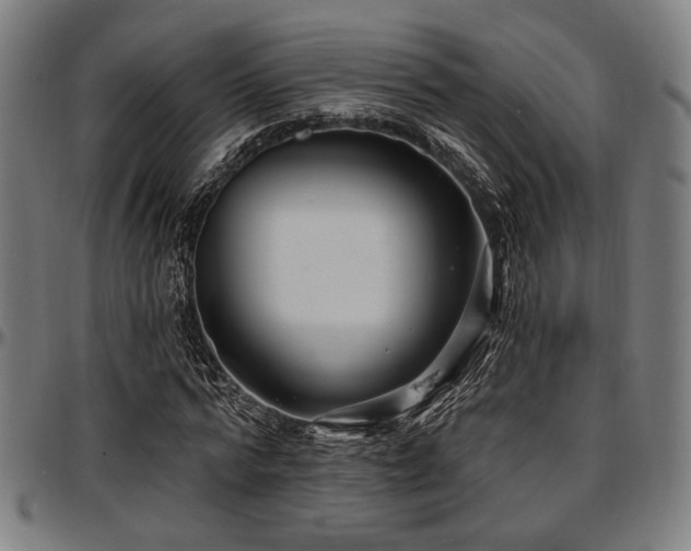 X0000097590776200802291218