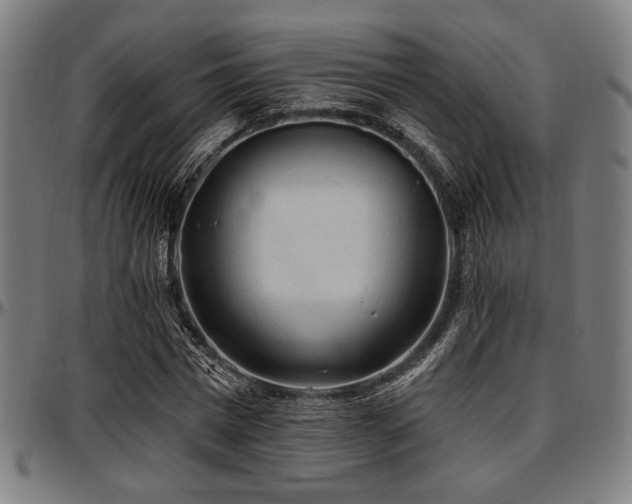 X0000097590777200802291218