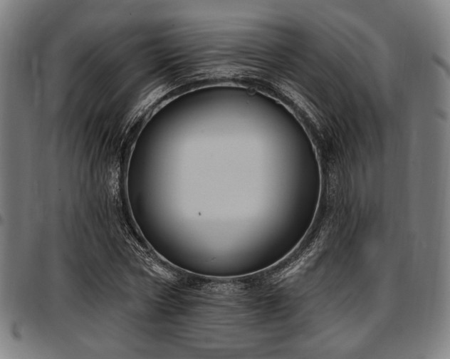 X0000097590778200802291218
