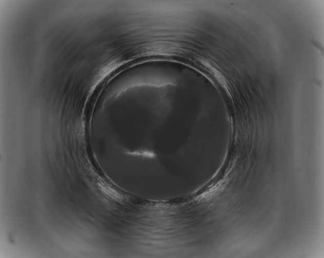 X0000097590779200802291218