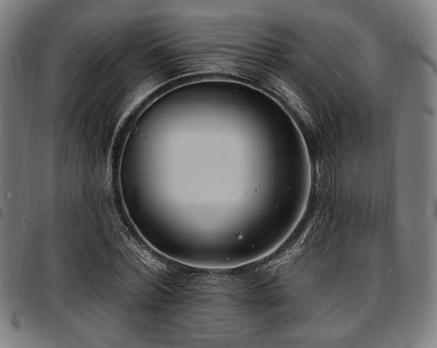 X0000097590780200802291218