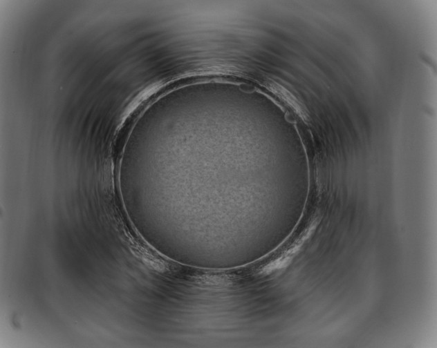 X0000097590781200802291218