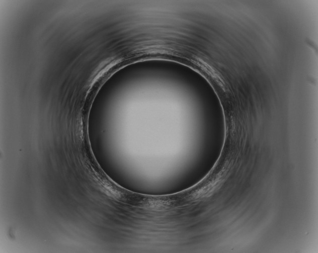 X0000097590782200802291218