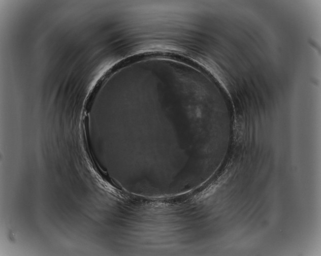 X0000097590783200802291218