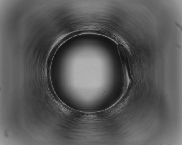 X0000097590784200802291218