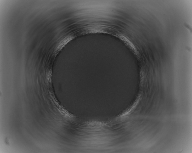 X0000097590785200802291218