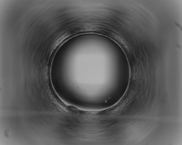 X0000097590786200802291218