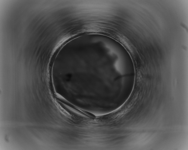 X0000097590787200802291218