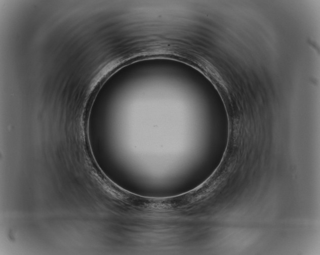 X0000097590789200802291218