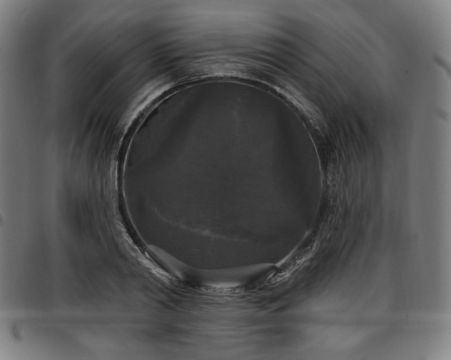 X0000097590790200802291218