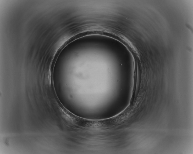 X0000097590791200802291218