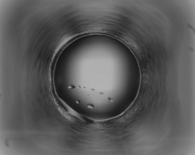 X0000097590792200802291218