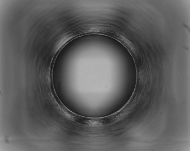 X0000097590794200802291218