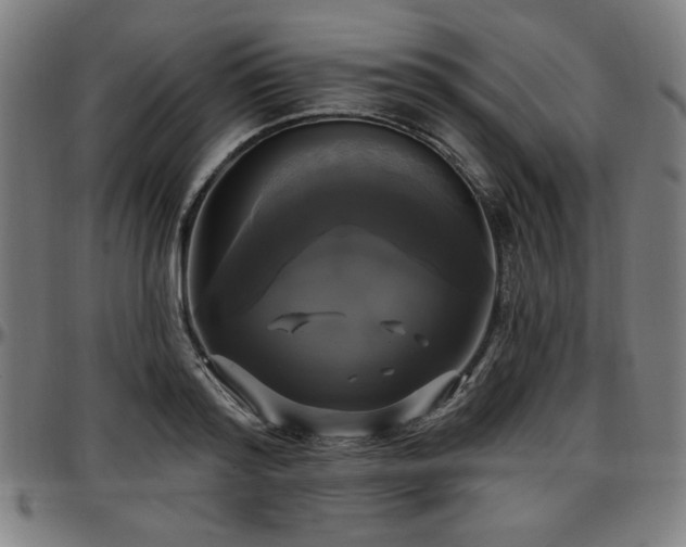 X0000097590796200802291218