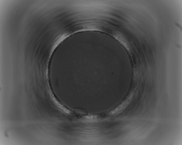 X0000097590797200802291218