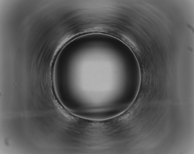 X0000097590800200802291218