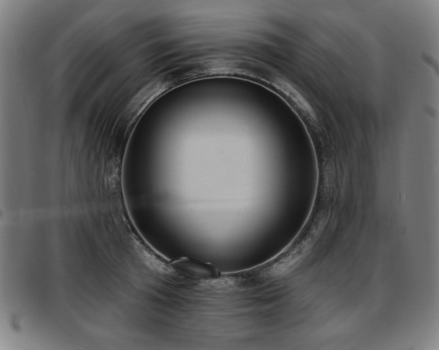 X0000097590801200802291218
