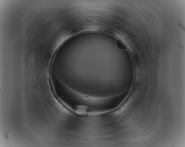 X0000097590802200802291218