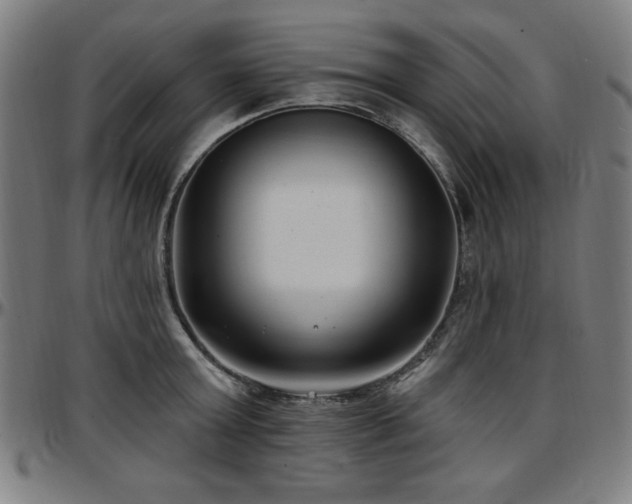 X0000097590803200802291218