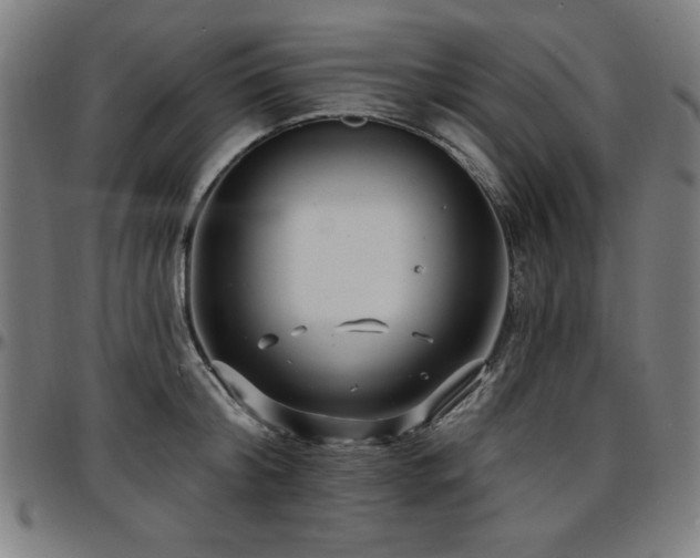 X0000097590804200802291218