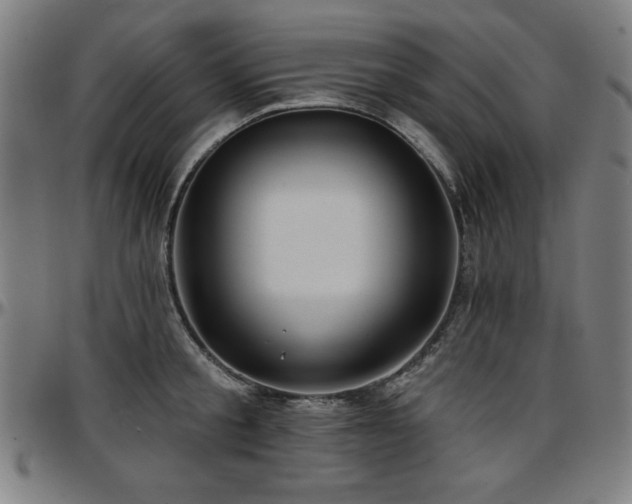X0000097590805200802291218