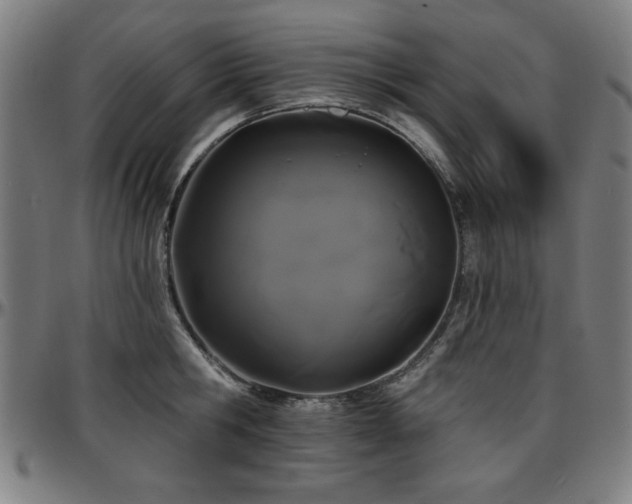 X0000097590806200802291218