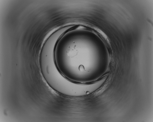 X0000097590807200802291218