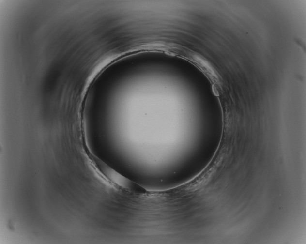 X0000097590808200802291217