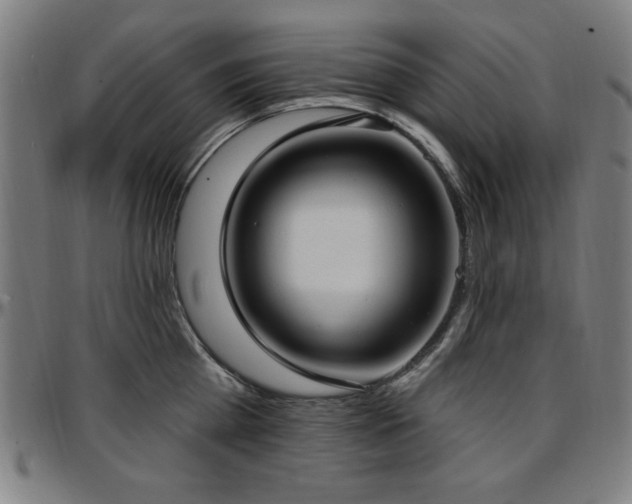 X0000097590809200802291217