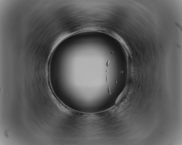 X0000097590811200802291217
