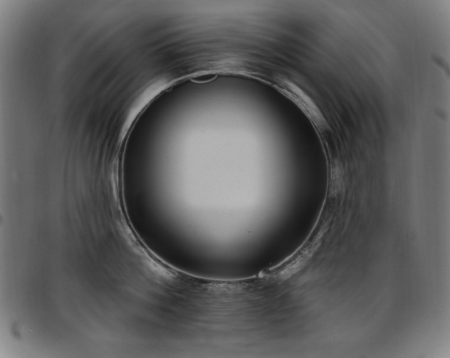 X0000097590812200802291217