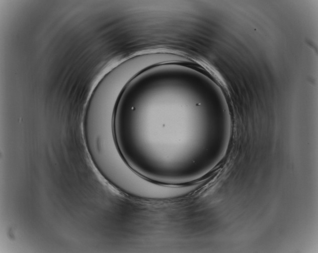 X0000097590813200802291217