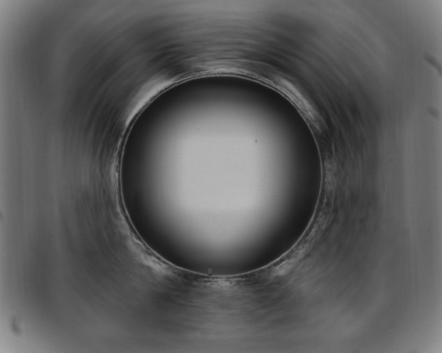 X0000097590814200802291217