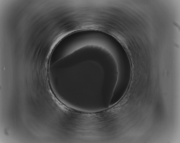 X0000097590816200802291217