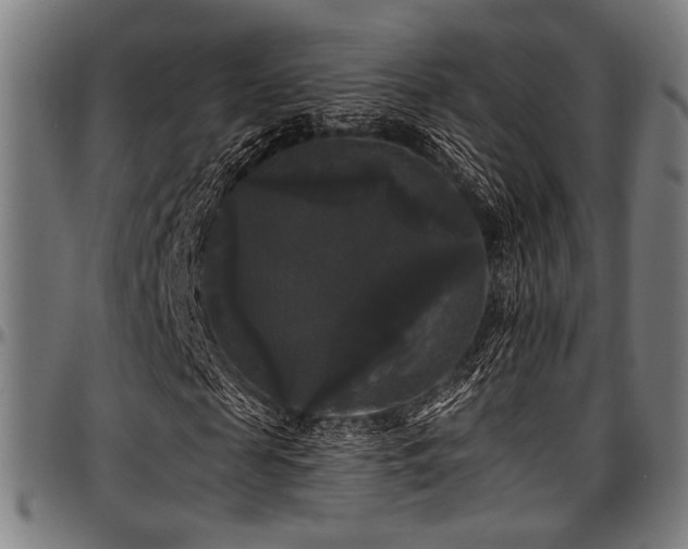X0000097590817200802291217