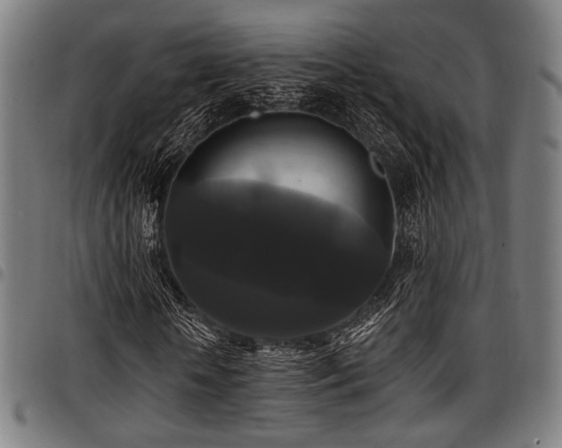 X0000097590818200802291217