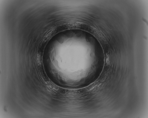 X0000097590819200802291217