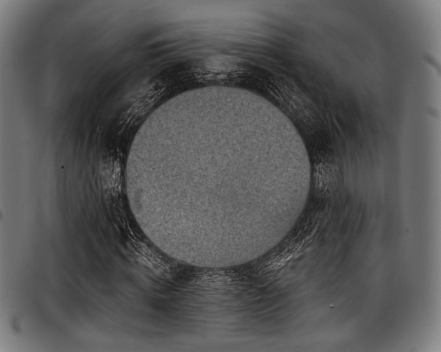 X0000097590820200802291217