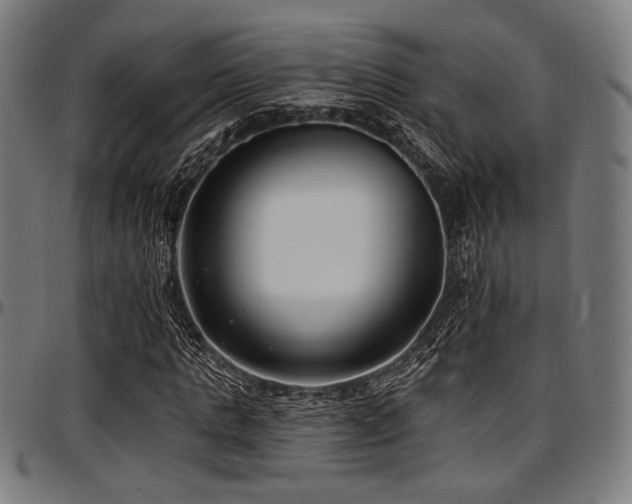 X0000097590821200802291217