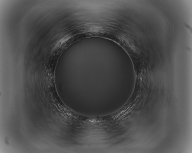 X0000097590822200802291217